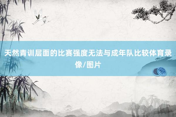 天然青训层面的比赛强度无法与成年队比较体育录像/图片