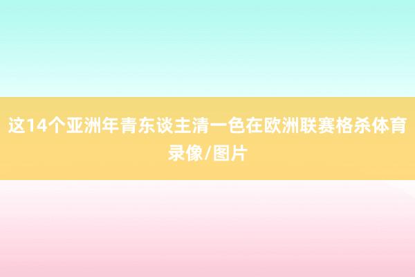 这14个亚洲年青东谈主清一色在欧洲联赛格杀体育录像/图片