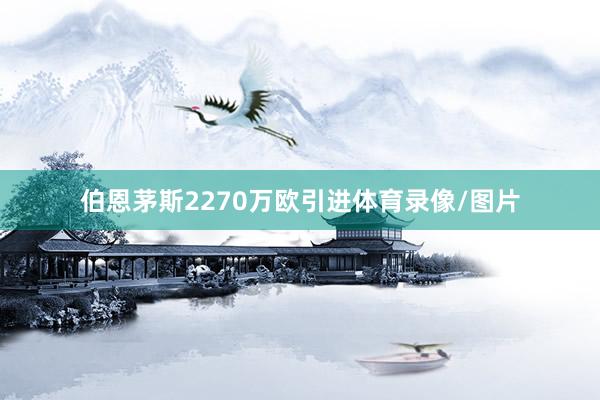 伯恩茅斯2270万欧引进体育录像/图片