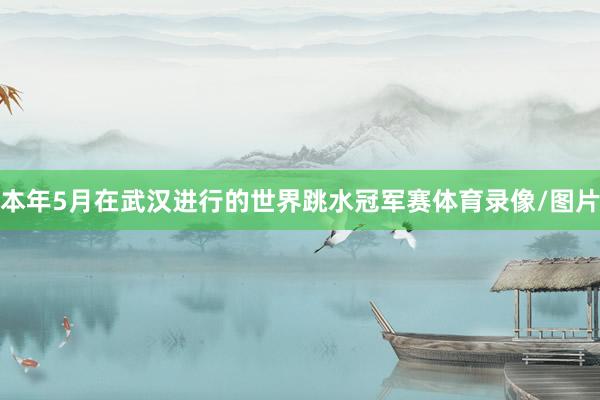 本年5月在武汉进行的世界跳水冠军赛体育录像/图片