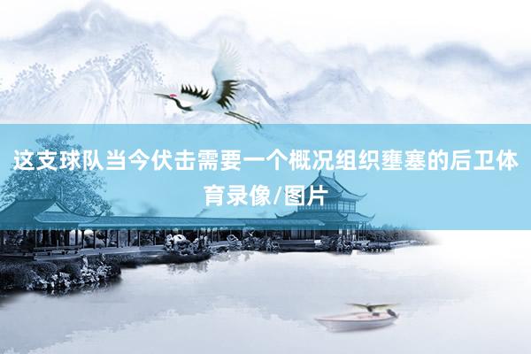 这支球队当今伏击需要一个概况组织壅塞的后卫体育录像/图片