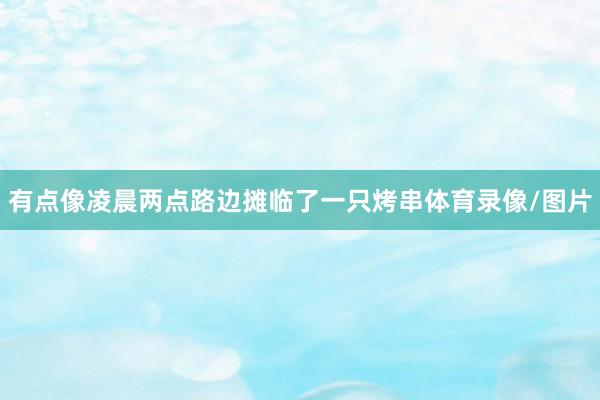 有点像凌晨两点路边摊临了一只烤串体育录像/图片