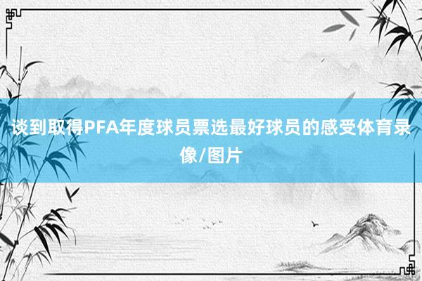 谈到取得PFA年度球员票选最好球员的感受体育录像/图片