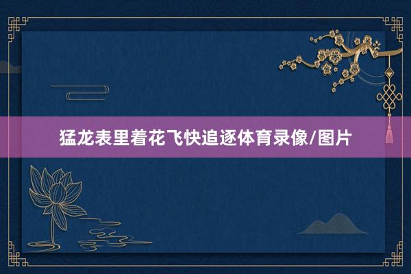 猛龙表里着花飞快追逐体育录像/图片