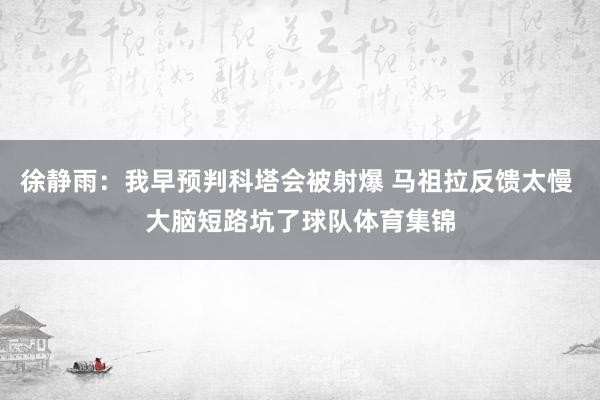 徐静雨：我早预判科塔会被射爆 马祖拉反馈太慢 大脑短路坑了球队体育集锦
