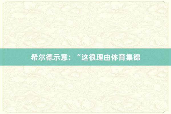 希尔德示意：“这很理由体育集锦