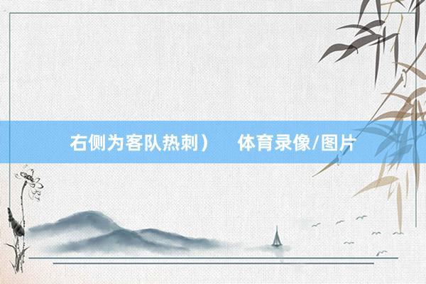 右侧为客队热刺）    体育录像/图片