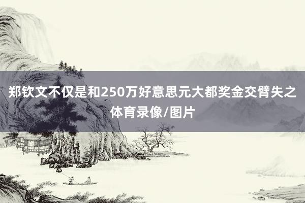 郑钦文不仅是和250万好意思元大都奖金交臂失之体育录像/图片