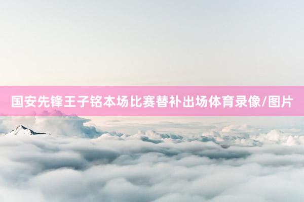 国安先锋王子铭本场比赛替补出场体育录像/图片
