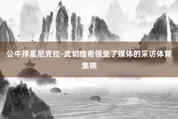 公牛球星尼克拉-武切维奇领受了媒体的采访体育集锦