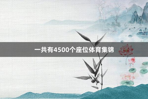 一共有4500个座位体育集锦