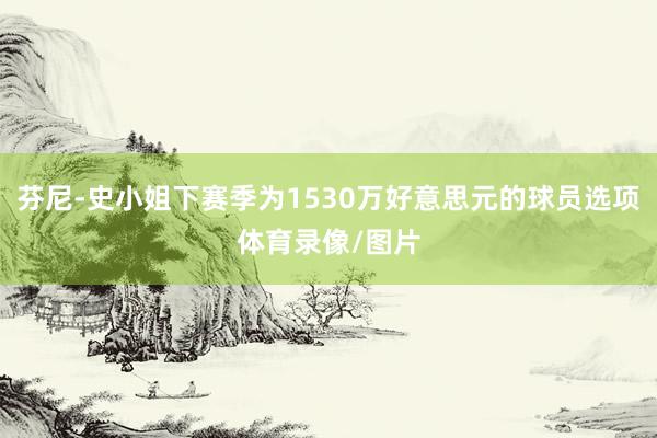 芬尼-史小姐下赛季为1530万好意思元的球员选项体育录像/图片