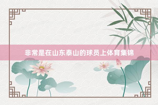 非常是在山东泰山的球员上体育集锦