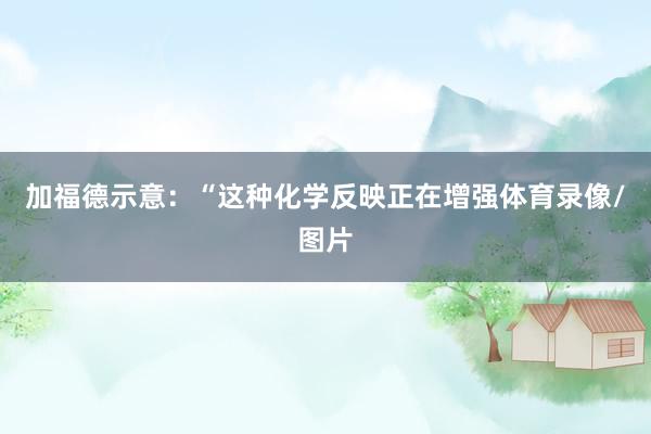 加福德示意：“这种化学反映正在增强体育录像/图片