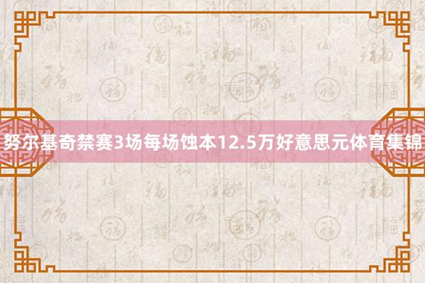 努尔基奇禁赛3场每场蚀本12.5万好意思元体育集锦
