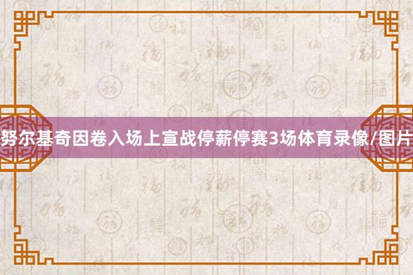 努尔基奇因卷入场上宣战停薪停赛3场体育录像/图片