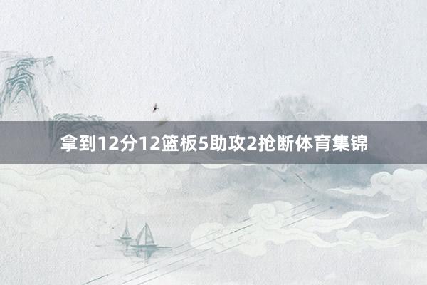 拿到12分12篮板5助攻2抢断体育集锦