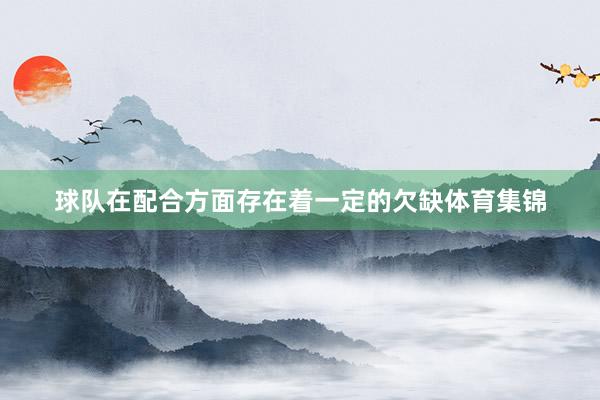 球队在配合方面存在着一定的欠缺体育集锦