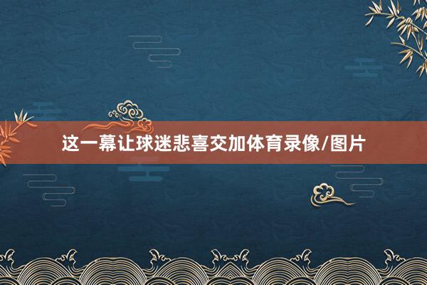 这一幕让球迷悲喜交加体育录像/图片