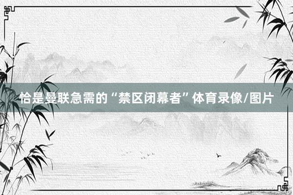 恰是曼联急需的“禁区闭幕者”体育录像/图片