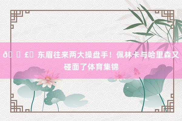 💣️东眉往来两大操盘手！佩林卡与哈里森又碰面了体育集锦