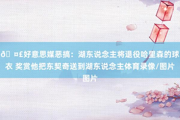 🤣好意思媒恶搞：湖东说念主将退役哈里森的球衣 奖赏他把东契奇送到湖东说念主体育录像/图片