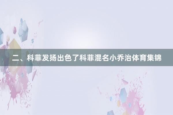 二、科菲发扬出色了科菲混名小乔治体育集锦
