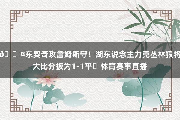 😤东契奇攻詹姆斯守！湖东说念主力克丛林狼将大比分扳为1-1平⚖体育赛事直播