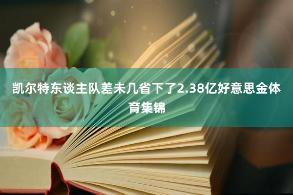 凯尔特东谈主队差未几省下了2.38亿好意思金体育集锦