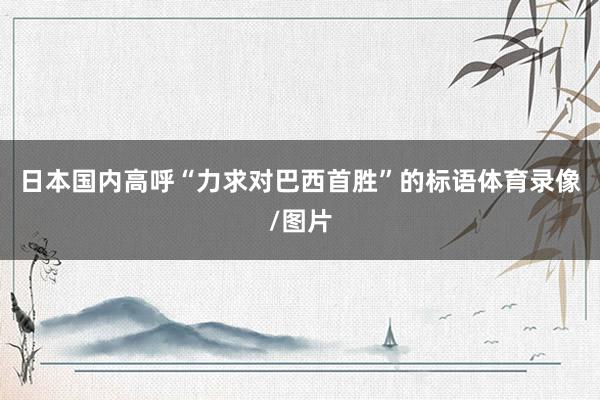 日本国内高呼“力求对巴西首胜”的标语体育录像/图片