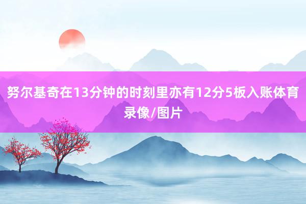 努尔基奇在13分钟的时刻里亦有12分5板入账体育录像/图片