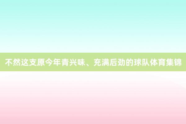 不然这支原今年青兴味、充满后劲的球队体育集锦