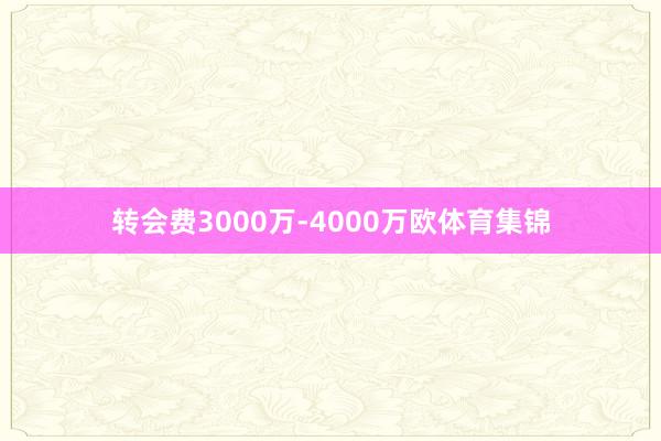 转会费3000万-4000万欧体育集锦