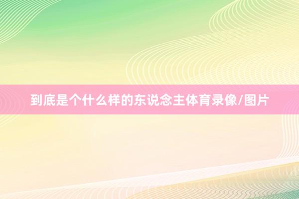 到底是个什么样的东说念主体育录像/图片