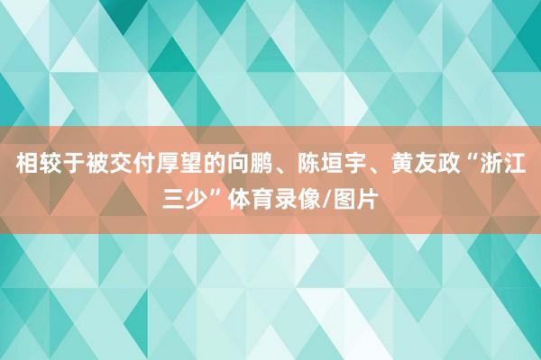 相较于被交付厚望的向鹏、陈垣宇、黄友政“浙江三少”体育录像/图片